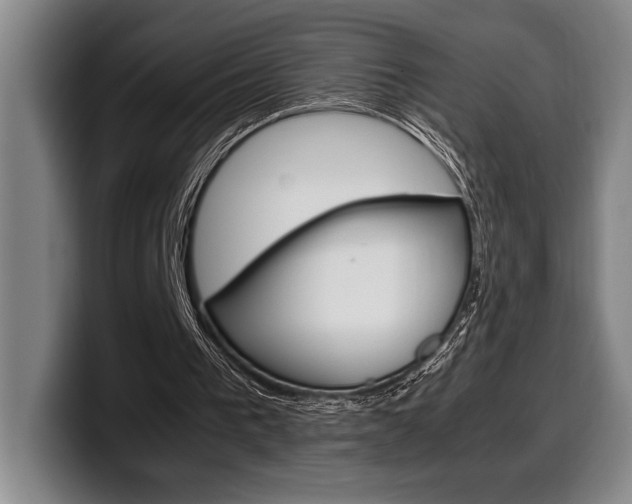 X0000100340193200806051232