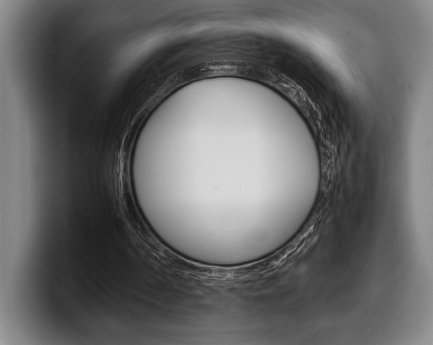 X0000100340194200806051232
