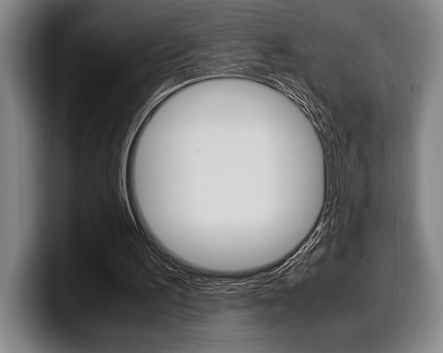 X0000100340195200806051232