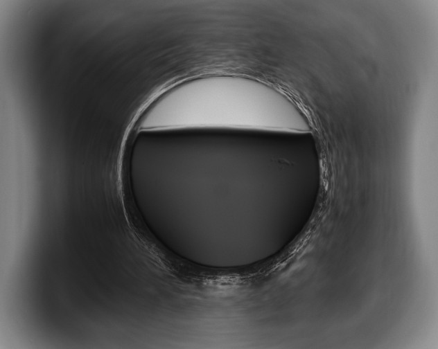 X0000100340196200806051232