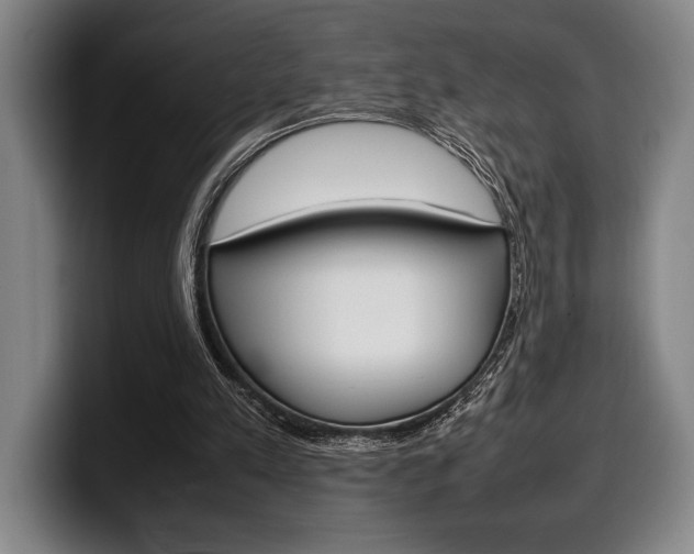 X0000100340197200806051232