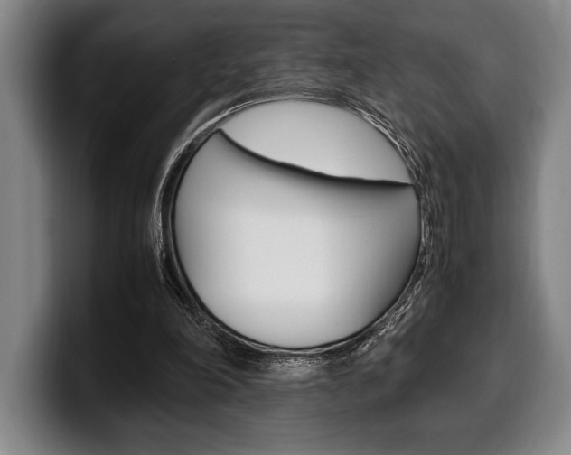 X0000100340198200806051232