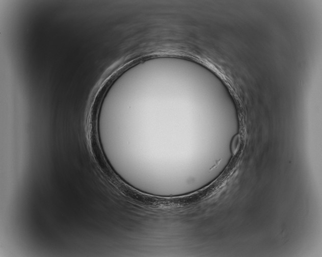 X0000100340199200806051232