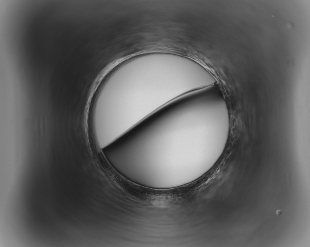 X0000100340200200806051232