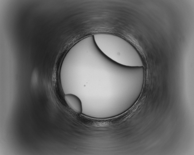 X0000100340202200806051232