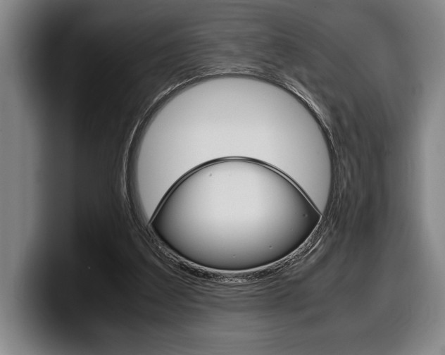 X0000100340203200806051232