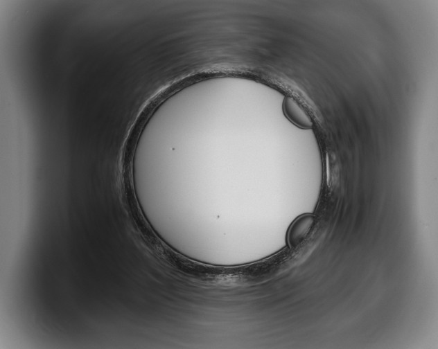 X0000100340204200806051232