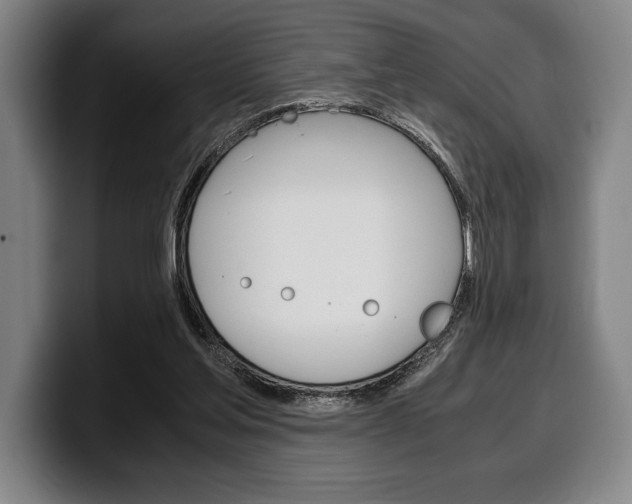 X0000100340205200806051232