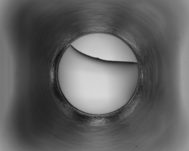 X0000100340206200806051232