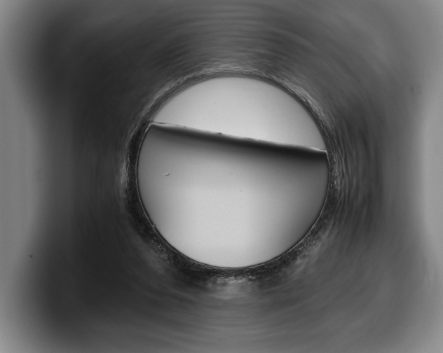 X0000100340208200806051232