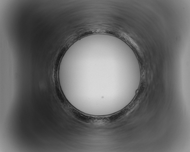 X0000100340209200806051232