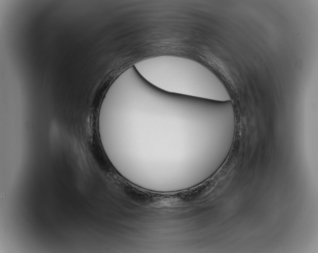 X0000100340210200806051232