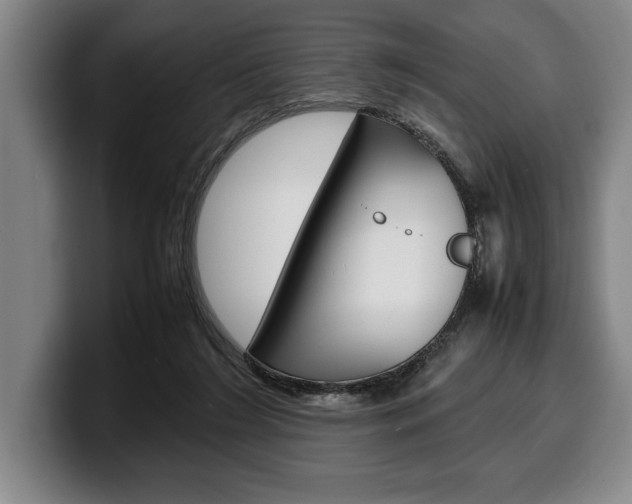 X0000100340212200806051232