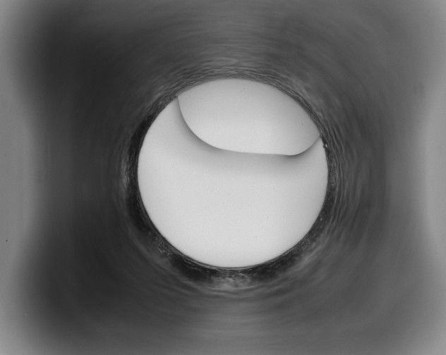 X0000100340215200806051232