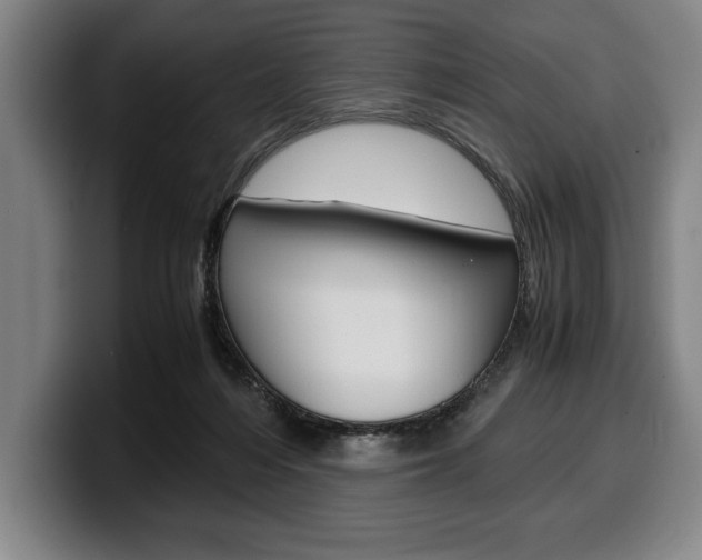 X0000100340216200806051232