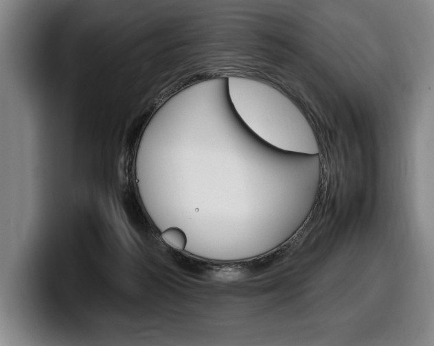 X0000100340218200806051232