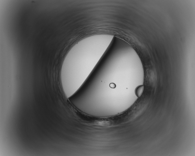 X0000100340220200806051232
