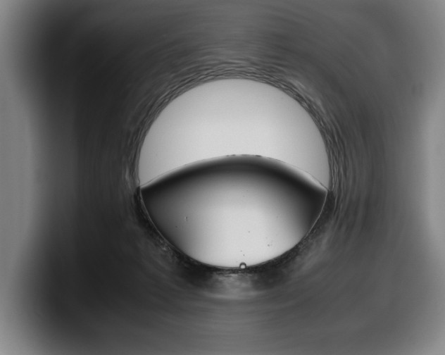 X0000100340221200806051232