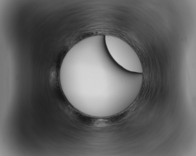X0000100340222200806051232