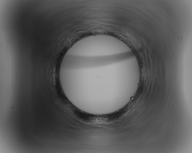 X0000100340223200806051231