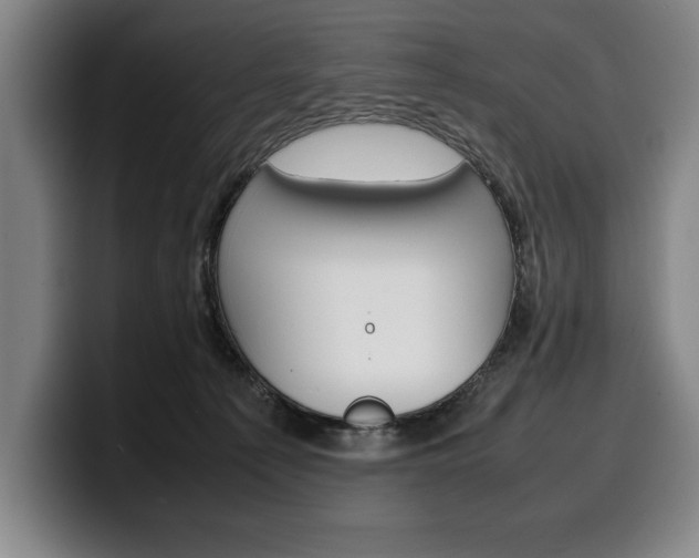 X0000100340225200806051231