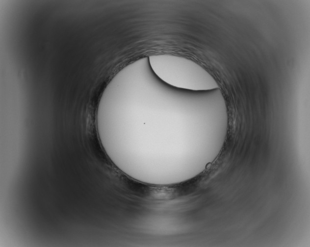 X0000100340226200806051231