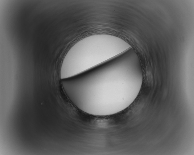 X0000100340228200806051231