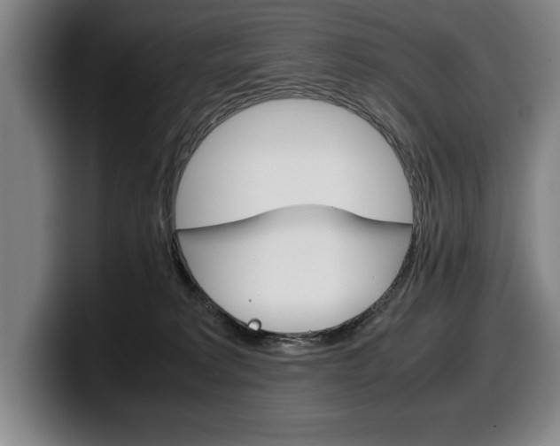 X0000100340229200806051231