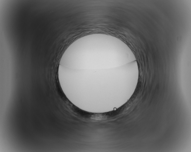 X0000100340231200806051231