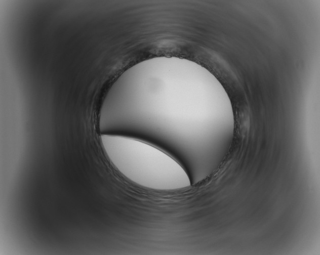 X0000100340232200806051231
