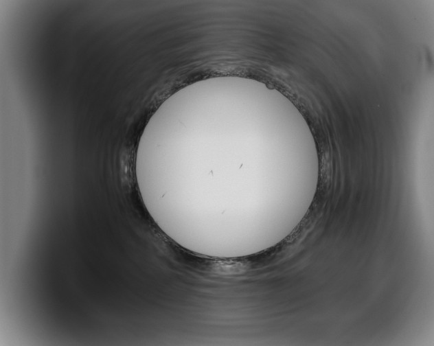 X0000100340234200806051231