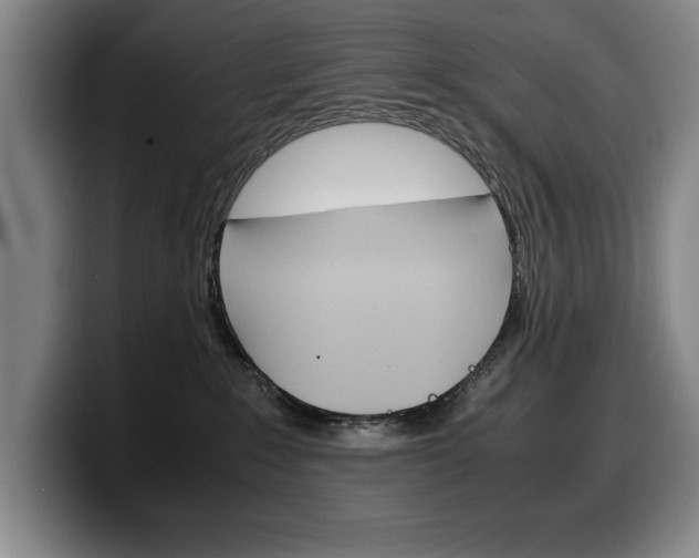 X0000100340235200806051231