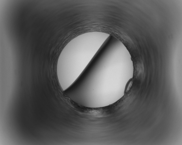 X0000100340236200806051231