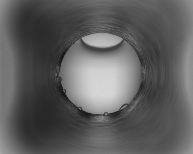 X0000100340237200806051231