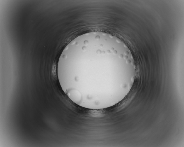 X0000100340238200806051231
