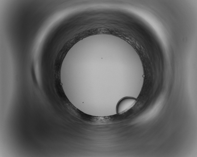 X0000100340239200806051231