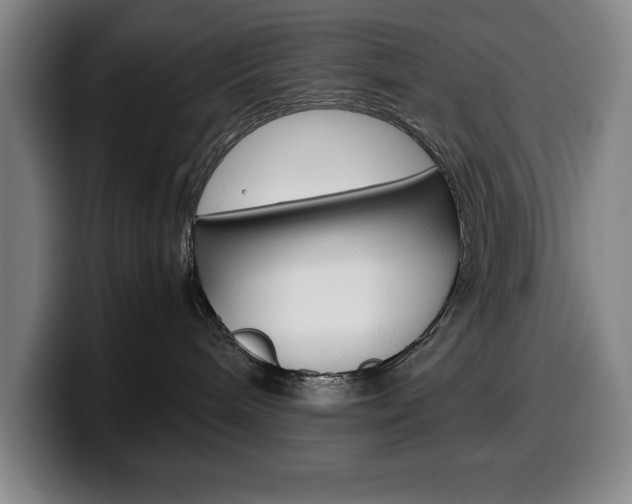 X0000100340240200806051231