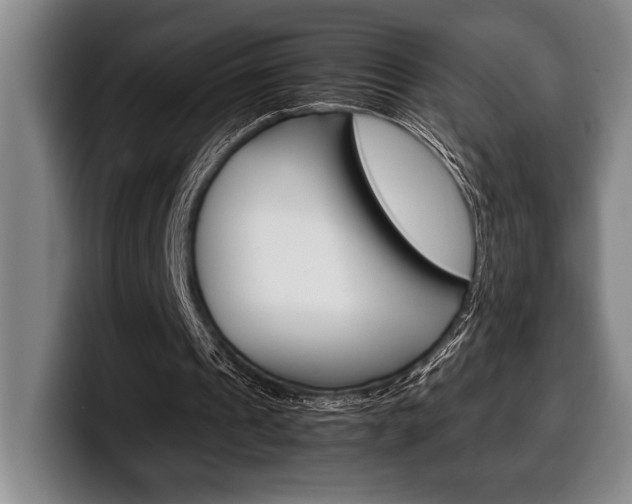 X0000100340241200806051231