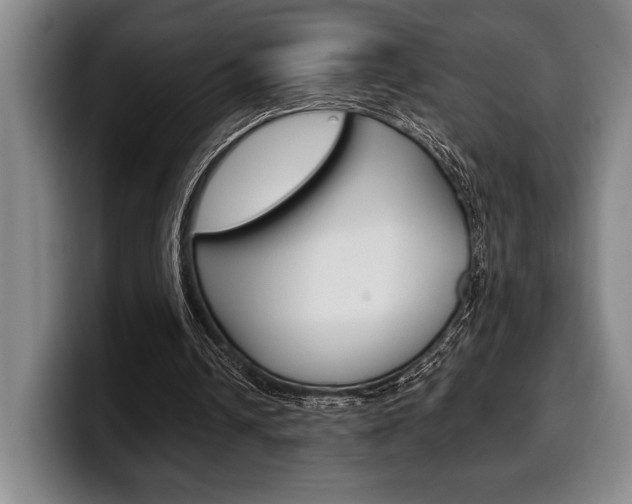 X0000100340242200806051231