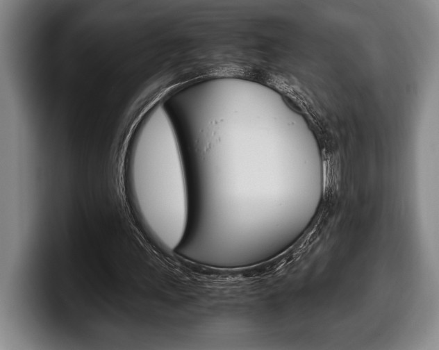 X0000100340243200806051231