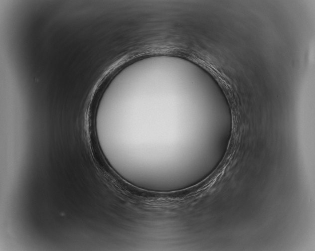 X0000100340244200806051231