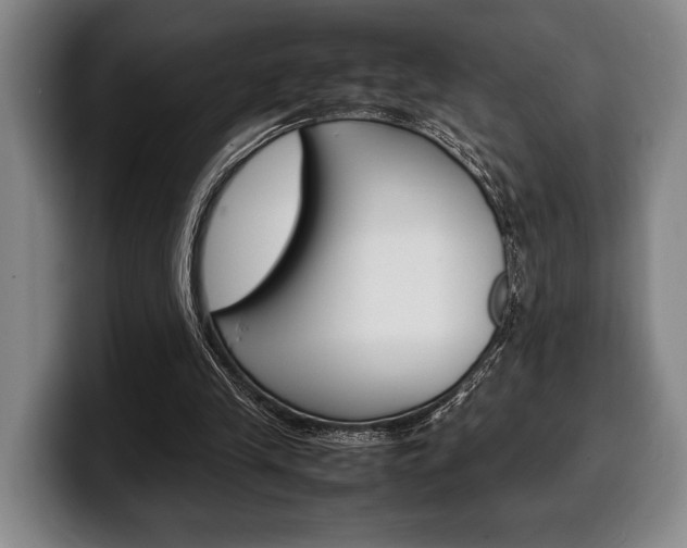 X0000100340245200806051231