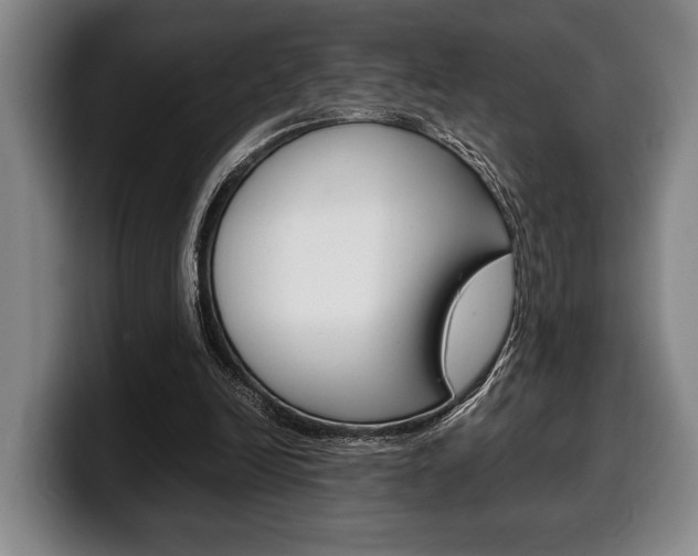 X0000100340246200806051231