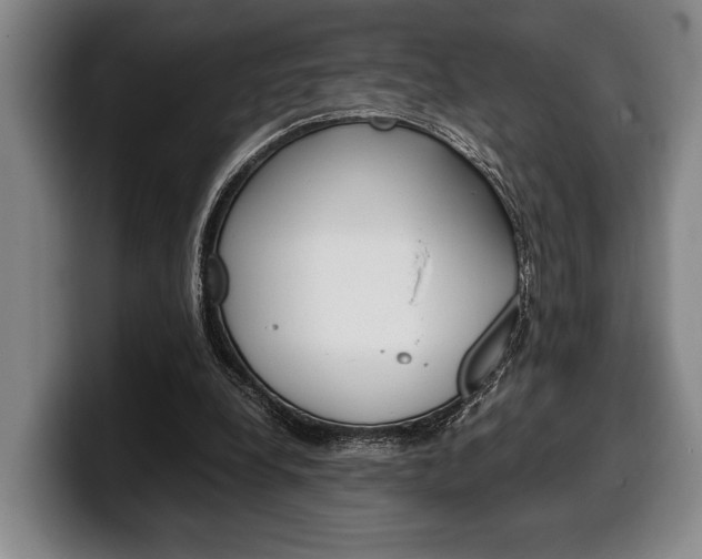 X0000100340248200806051231