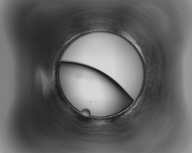 X0000100340249200806051231