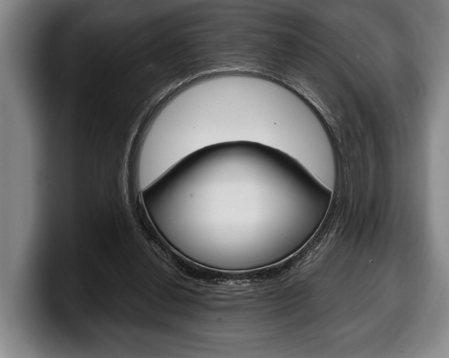 X0000100340252200806051231