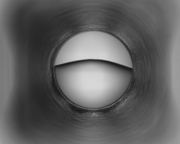 X0000100340254200806051231