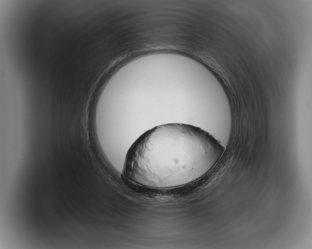 X0000100340256200806051231