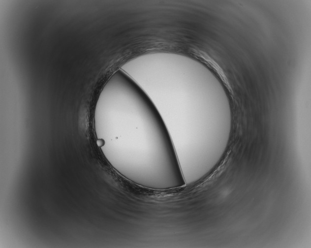 X0000100340257200806051231