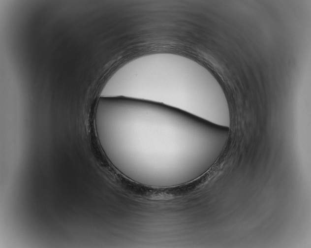 X0000100340258200806051231